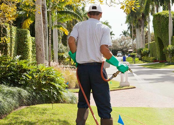 About Upton WY Pest Control